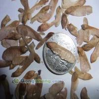 寧波榮達(dá)苗木場(chǎng)_世界工廠網(wǎng)全球企業(yè)庫(kù)